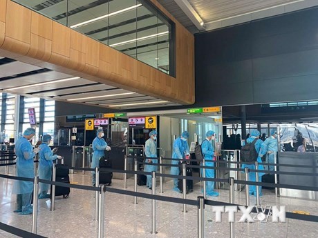 240 Vietnamese citizens repatriated from the Philippines  - ảnh 1