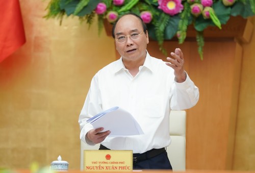 Prime Minister urges Dak Nong to increase export of avocado - ảnh 1