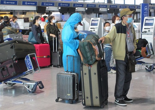 Vietnamese citizens repatriated from Japan, Macau  - ảnh 1