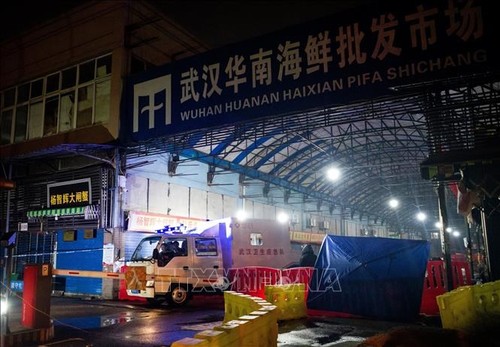 WHO team arrives at Wuhan seafood market as part of search for origin of coronavirus  - ảnh 1