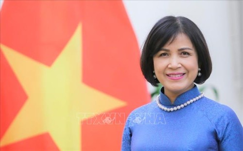 Vietnam participates in WTO negotiations on fisheries subsidies - ảnh 1