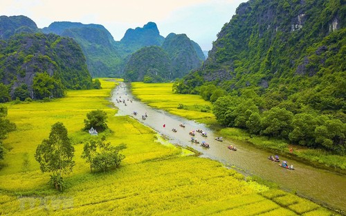 Vietnam's first international photography festival calls for entries  - ảnh 1