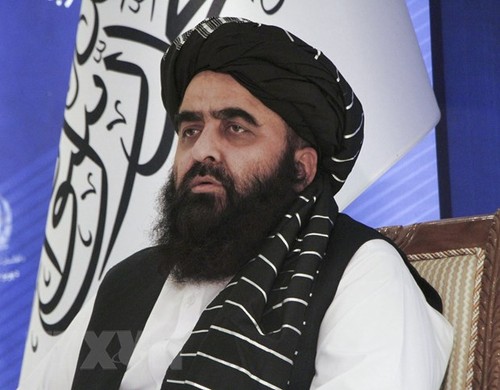 Taliban wants to address UN General Assembly session  - ảnh 1