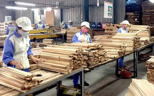 Vietnam aims to earn over 16 billion USD from forestry exports in 2022 - ảnh 1