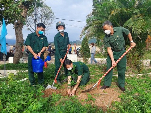Da Nang city begins tree planting campaign  - ảnh 1