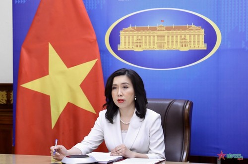Vietnam protects and promotes basic human rights   - ảnh 1