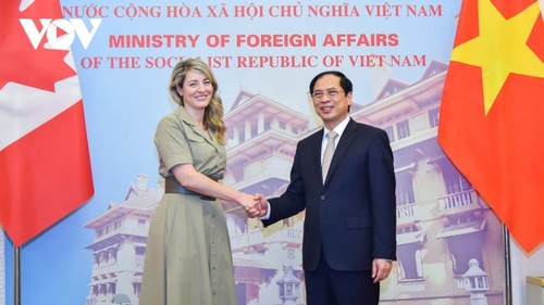 Canada wants to expand cooperation with Vietnam - ảnh 1