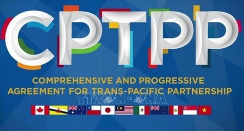 The Republic of Korea decides to join CPTPP - ảnh 1