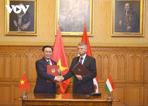 Top legislators of Vietnam, Hungary call for further friendship, cooperation  - ảnh 3