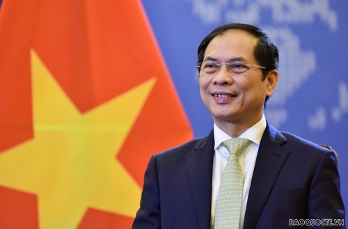 Vietnam attends Mekong-Lancang Cooperation Foreign Ministers' Meeting  - ảnh 1