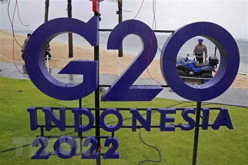 G20 Finance Ministers meet for talks on global food security, soaring inflation  - ảnh 1