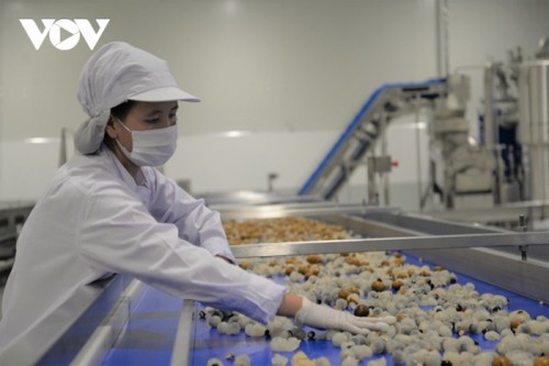 Vietnam aims to become world's top 10 agricultural processing center by 2030 - ảnh 1