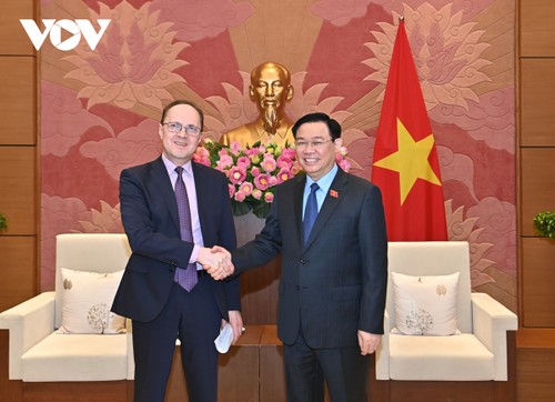 Vietnam values relations with Cuba and Russia  - ảnh 2