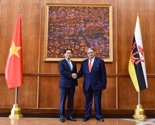 Vietnam and Brunei discuss promoting comprehensive partnership - ảnh 1
