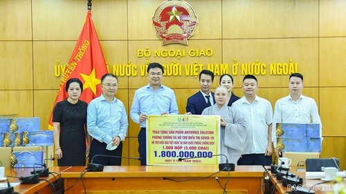Vietnamese in the Republic of Korea receive COVID-19 donation - ảnh 1