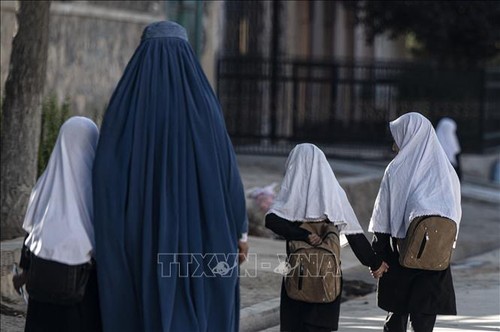 UN Security Council asks Taliban to reverse restrictions on women in Afghanistan - ảnh 1