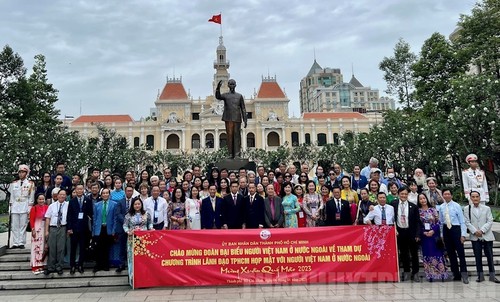 Overseas Vietnamese welcomed home for Lunar New Year  - ảnh 1