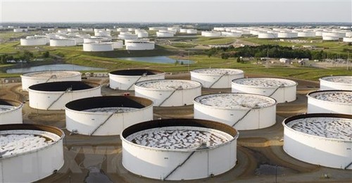 US government halts oil reserve release  - ảnh 1