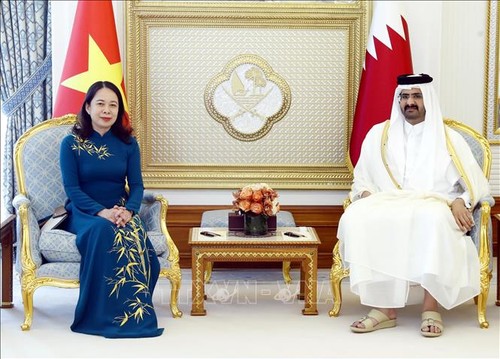 Vietnam, Qatar aim to boost friendship, multi-faceted cooperation  - ảnh 1
