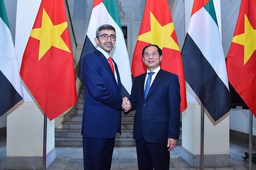 Vietnamese and UAE FMs hold talks   - ảnh 1