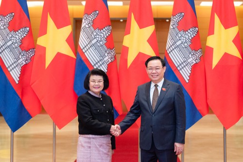 Talks held between Vietnamese, Cambodian top legislators  - ảnh 1