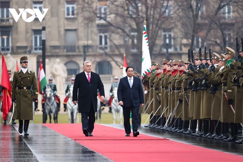 PMs of Vietnam, Hungary discuss ways to boost comprehensive partnership  - ảnh 1