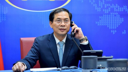 Vietnamese, New Zealand FMs talk on the phone - ảnh 1