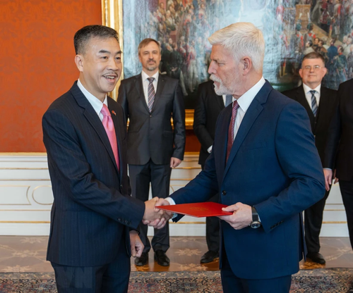 Czech President praises traditional friendship with Vietnam - ảnh 1