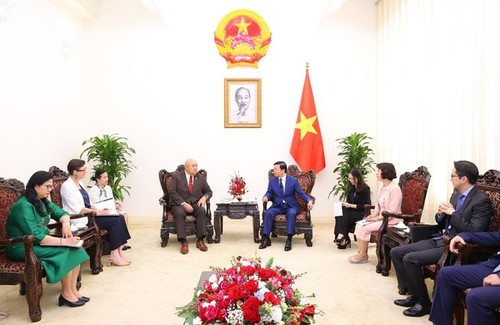 Deputy PM calls for WHO’s help to improve Vietnam’s preventive healthcare  - ảnh 1