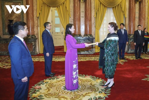 Acting President receives foreign ambassadors presenting credentials - ảnh 2