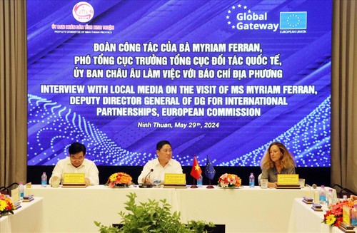 Vietnam, EU expand cooperation in energy transition - ảnh 1
