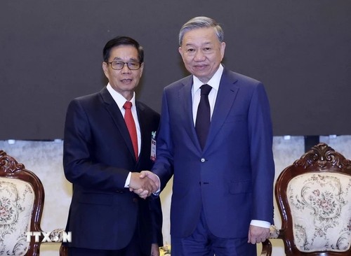 President meets Lao Front for National Construction chief, former leaders of Laos - ảnh 1