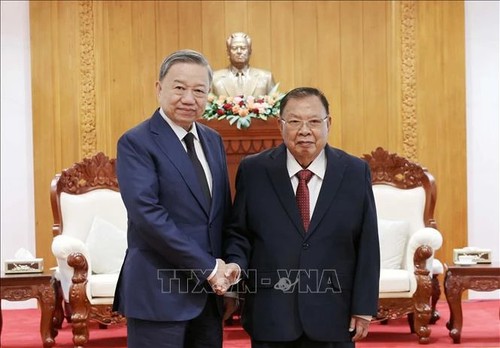 President meets Lao Front for National Construction chief, former leaders of Laos - ảnh 2
