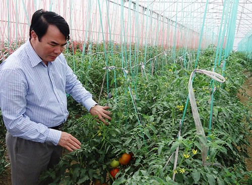 日本帮助林同省成为东南亚高价值农业中心  - ảnh 1