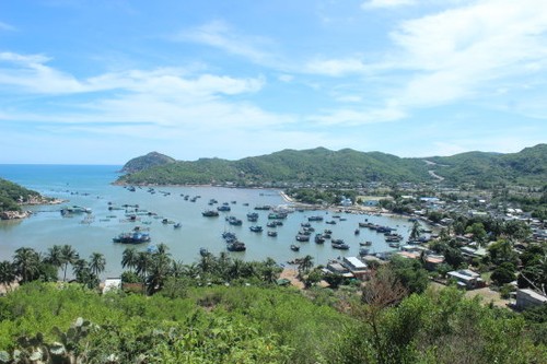 越南举行海洋岛屿周   - ảnh 1