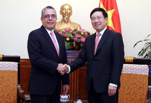 越南政府副总理兼外长范平明会见古巴和老挝代表团 - ảnh 1