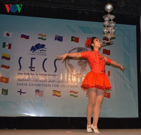 越南参加埃及开罗萨奇亚国际文化节   - ảnh 1