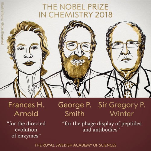 2018年诺贝尔化学奖授予美国和英国科学家 - ảnh 1