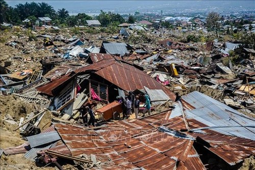 印度尼西亚地震和海啸：加强救援力量和保障帕卢市安全 - ảnh 1