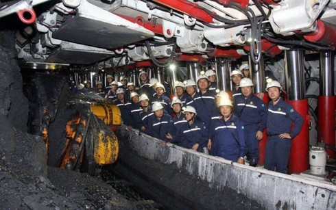 越南政府副总理郑廷勇：越南煤炭矿产工业集团要保障经济对煤炭的需求 - ảnh 1