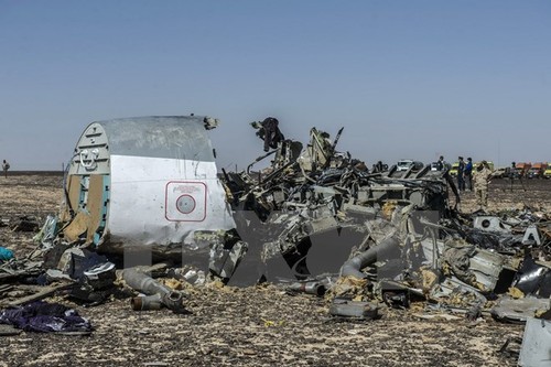 Причиной крушения самолета A321 cтал теракт - ảnh 1