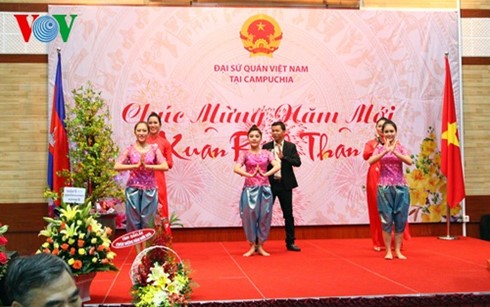 Вьетнамцы за границей встречают Новый год по лунному календарю - ảnh 1
