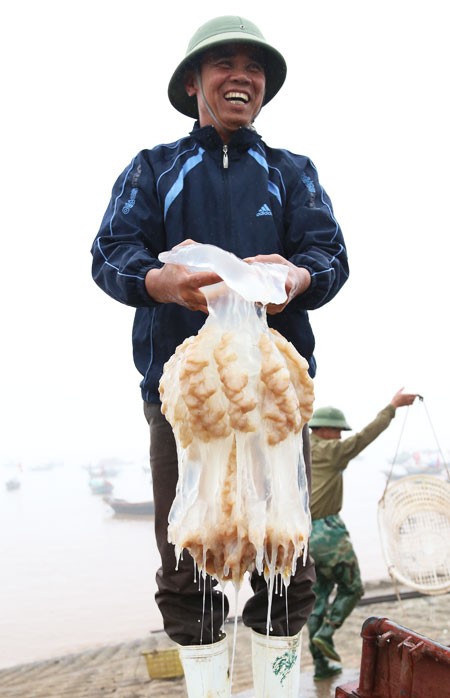 Утро на рынке морепродуктов Зяохай в провинции Намдинь - ảnh 3