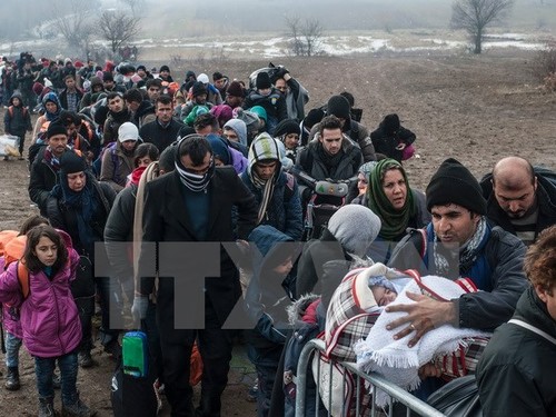 Германия продолжает депортацию афганских мигрантов - ảnh 1
