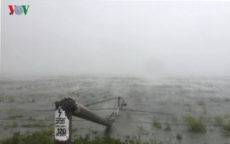 В центральных провинциях Вьетнама ведется работа по ликвидации последствий тайфуна «Доксури» - ảnh 1