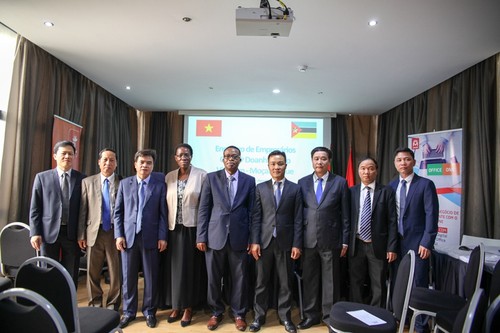 Активизация связей между предприятиями Вьетнама, Мозамбика и Свазиленда - ảnh 1