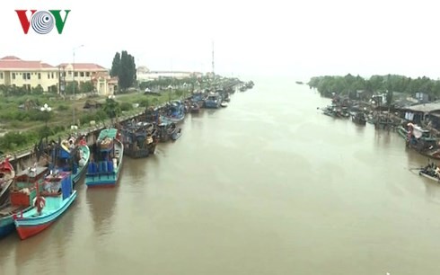 Во многих провинциях Вьетнама активно ведется экстренная работа по противодействию тайфуну «Тембин» - ảnh 1