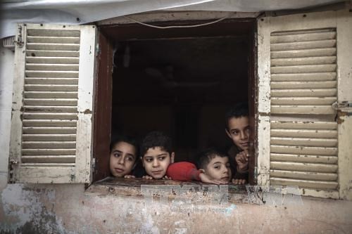 ООН обеспокоена гуманитарной и экономической ситуацией в Секторе Газа - ảnh 1