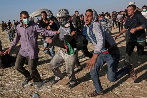 ООН призвала заинтересованные стороны в секторе Газа к сдержанности - ảnh 1