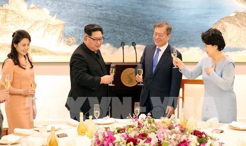 Международная общественность высоко оценивает итоги межкорейского саммита - ảnh 1